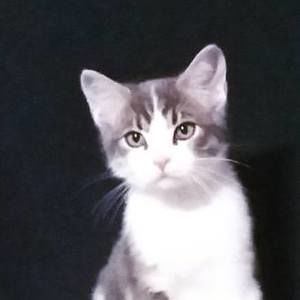 Meet your Posher, Cesar